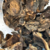 Funghi Seco