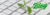 Banner de Herbraz