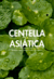 Carrusel 2