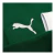 Camisa Palmeiras I 25/26 manga longa - Torcedor Puma Masculina - Verde na internet