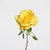 Buquê Bora Logo - Floricultura Mil Flores