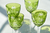 Set de 8 Copas de Cristal Talladas - comprar online