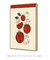 Quadro Decorativo - Tomates - comprar online