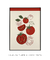 Quadro Decorativo - Tomates - loja online