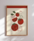 Quadro Decorativo - Tomates