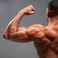 Marca 2 de Megafor Suplementos