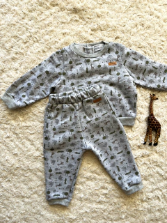 Conjunto zoo