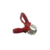 Porta Bico Airless Rac V -Titan/Vonder/Mengotti/Nauber - comprar online