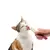 CATIT CREAMY POLLO - 4 UNIDADES en internet