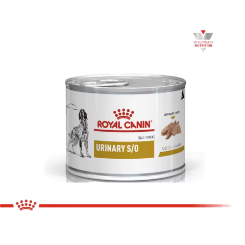 Royal Canin Lata Urinary Dog - comprar online