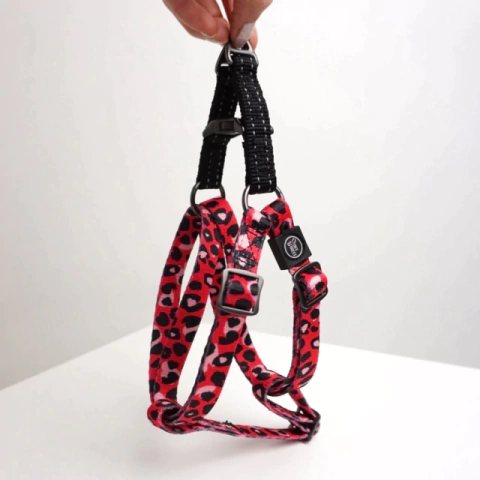 AFP Dog Step In Harness - Leopard - comprar online