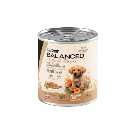Lata Vital Balanced Natural Recipe - Cachorro Cordero 340gr