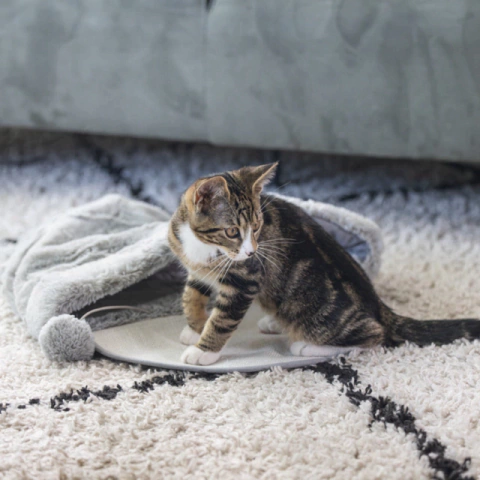 Bolsa De Juego - Hakuna - comprar online