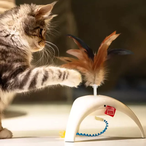 Gigwi Pet Droid - comprar online