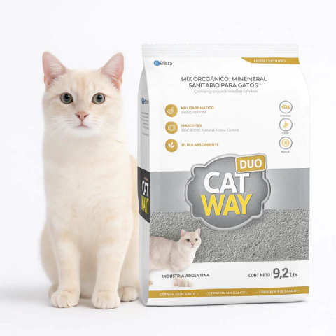 Piedra Duo - Catway - comprar online