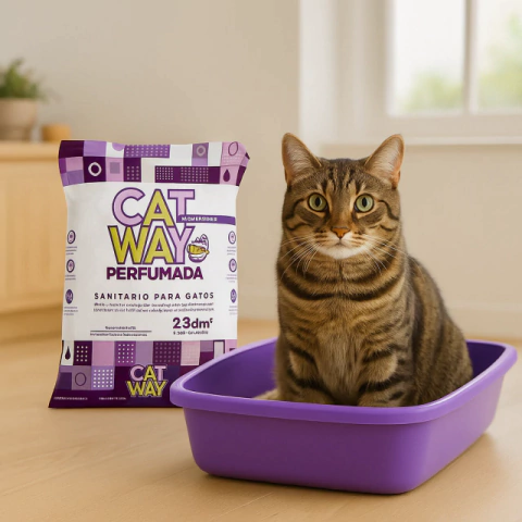 Piedra Diatomea Lavanda - Catway - comprar online