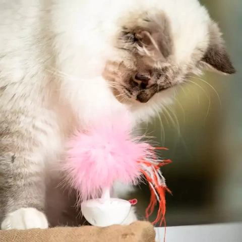 Gigwi Pet Droid Pluma - comprar online