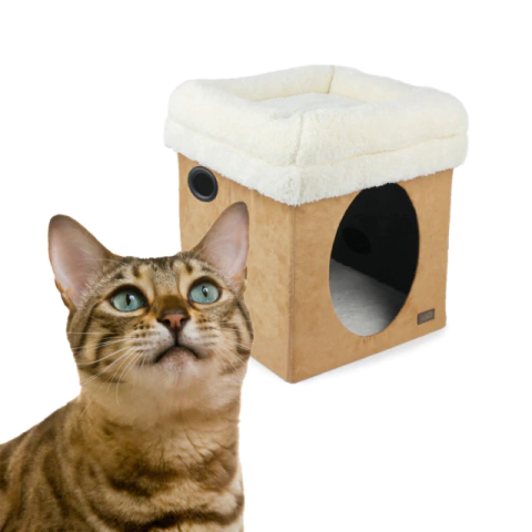 Cama Box House - comprar online