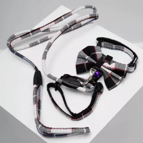 Arnes Cuadrille - comprar online