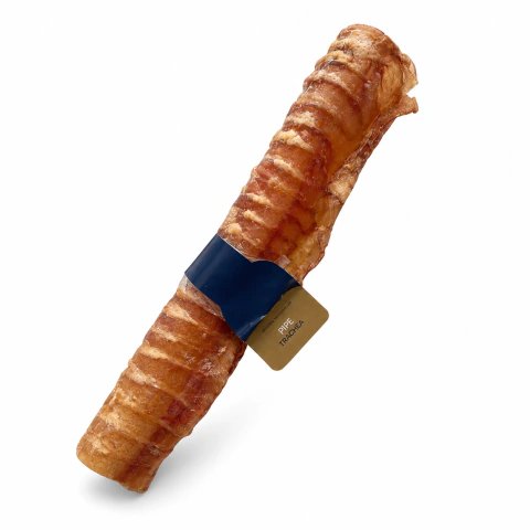 Bruler Pipe Tráquea