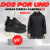 2x1 | Adidas Terrex + Campera Rompeviento DE REGALO - comprar online