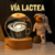 OFERTA DIA DE LA MADRE 2 MyCutie Galaxy™ - CUTIE STORE