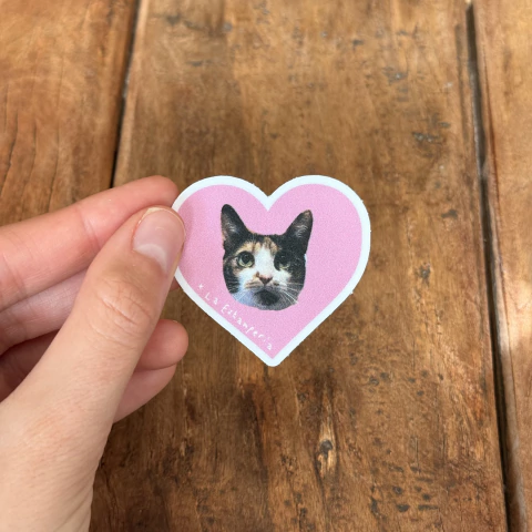 Vinilo mascota corazón fondo color - comprar online