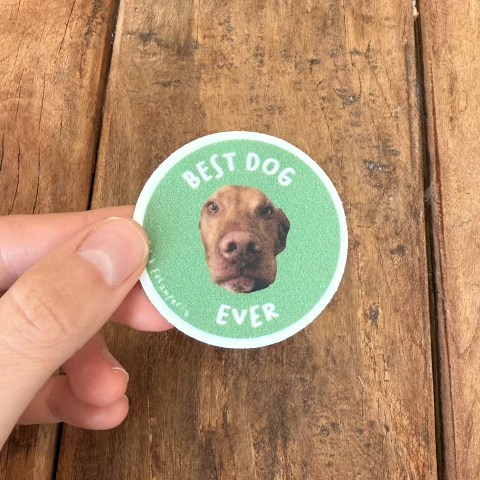 Vinilo Best dog ever - comprar online