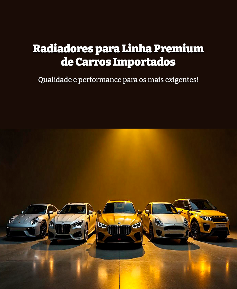 Carrossel 5