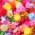 Mini Broches de cabelo florzinhas