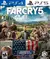 FAR CRY 5 PS4 | PS5