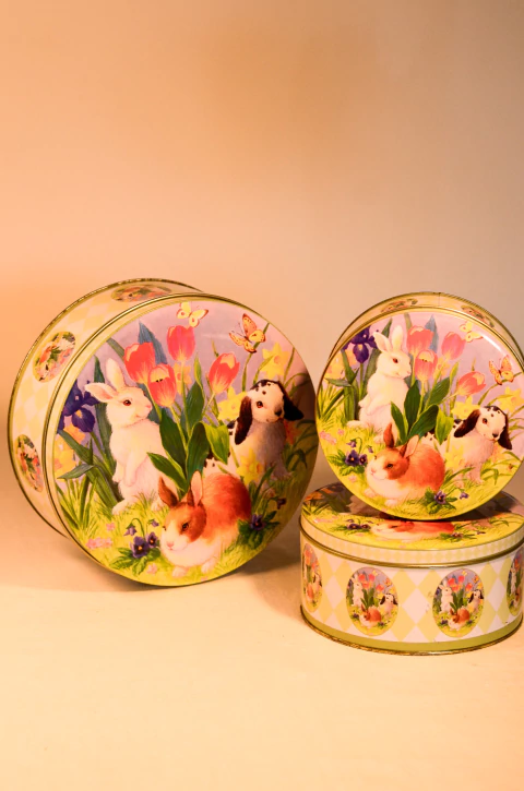 Latas coelhos em 3 tamanhos - comprar online