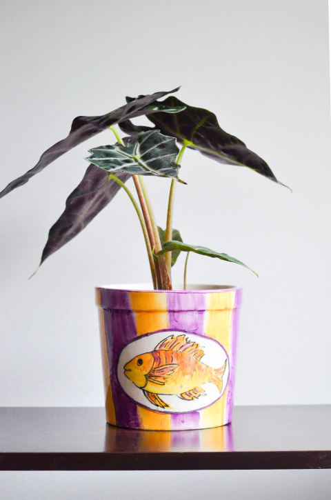 Cachepô peixe Weiss em porcelana - comprar online