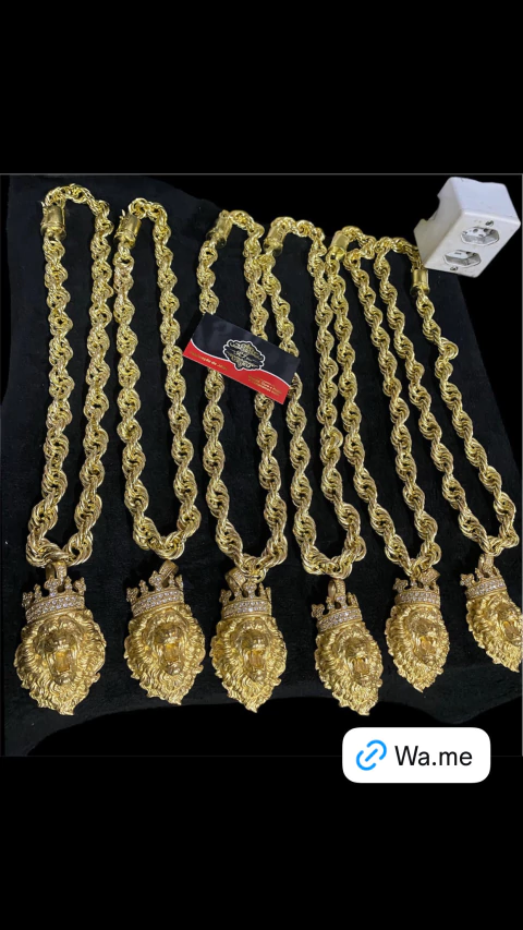 Promoção imperdível corrente elo BAHIANO + Pirgente leão em moeda antiga