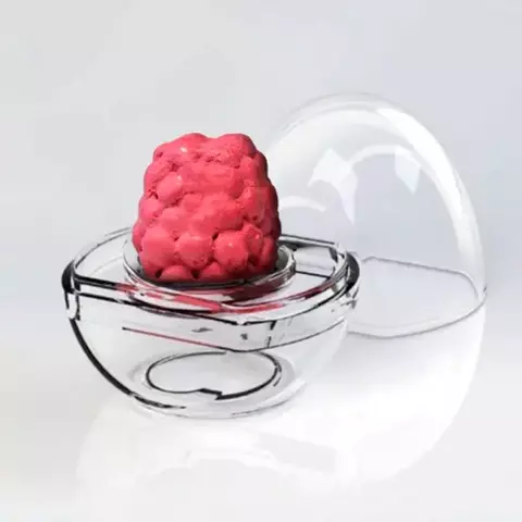 Kit Suporte para maquiagem sólida + Batom Sólido Multifuncional 3 em 1" - Amokarité