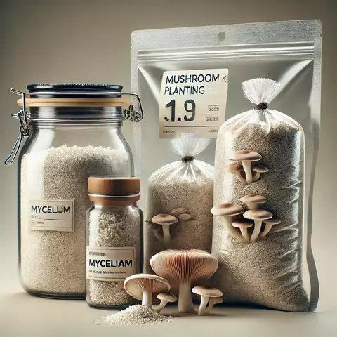 Kit de Siembra Cultivo de Hongos Adaptogenos
