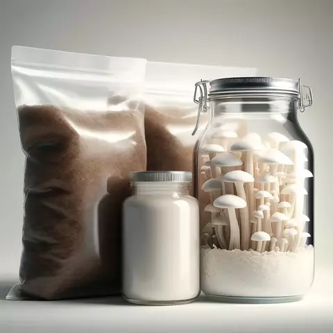 Kit para Siembra M de Eco Fungi