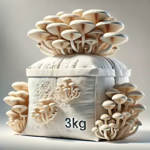 Bloque de Cultivo