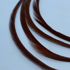 Imagen de Goose Biots Plumas Ganso Reptilius