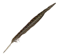 Pluma Cola Faisán Pheasant Tail Reptilius