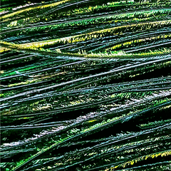Peacock Herl Strung Plumas Pavoreal Feathers N Flies