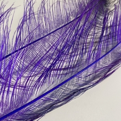 Plumas Spey Feathers 2 Unidades - Feathers N Flies - Aventura Fly Shop