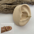 Piercing Conch Livia na internet