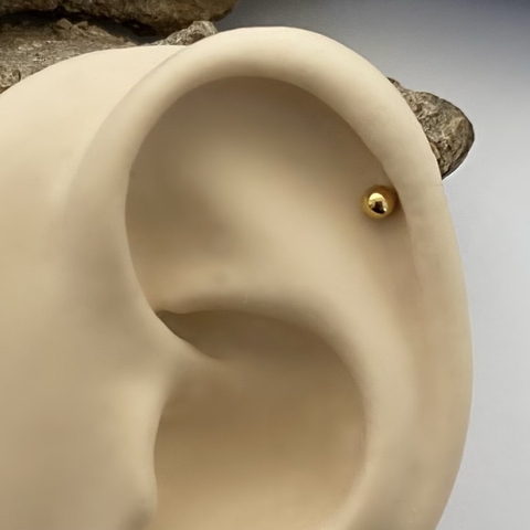 Piercing Titânio Labret Básico Push Pin 8x0.8mm