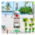 Combo Bacardí Dorado 980ml + 2 Blanco 980ml - tienda online