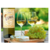 UXMAL CHARDONNAY 750ML - tienda online