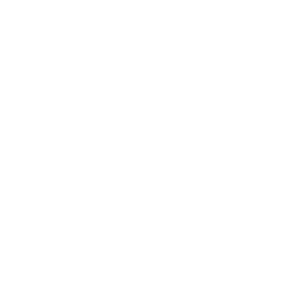 Rout Wellness