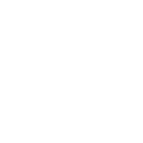 Rout Wellness