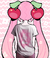 Imagem do Camiseta Sakura no Ame