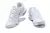 Air Max TN Plus "Multi-Swoosh White" na internet